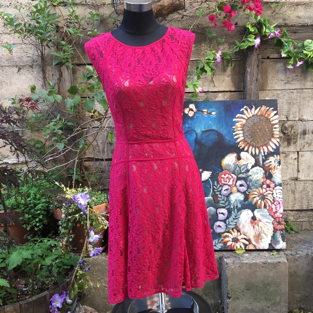 BCBG MaxAzria Khloe Turkish Rose Lace Dress M